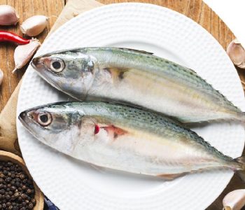 mackerel-bangda-fish-1601962515-5601760